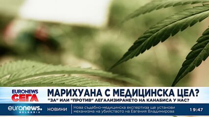 Ще бъде ли легализирана употребата на марихуана с медицински цели в България?