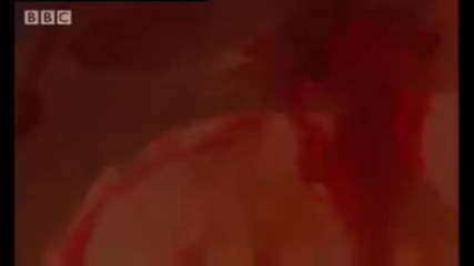 Horror story - Candiru