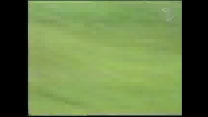 Fat Woman Falls Off Bike