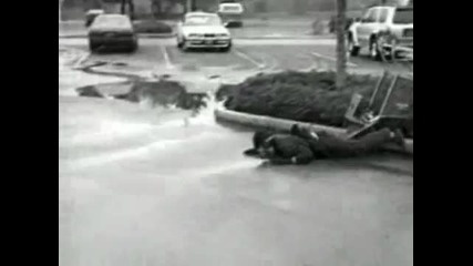 В памет на Райън Дън от Jackass