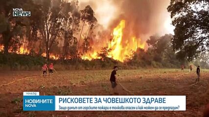 Защо димът от горските пожари е толкова опасен и как можем да се предпазим