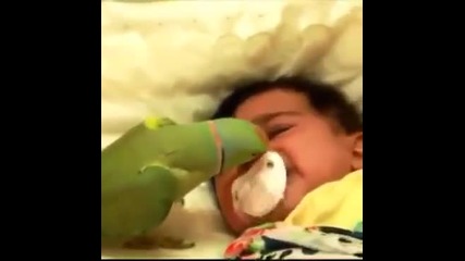 папагал успокоява бебе