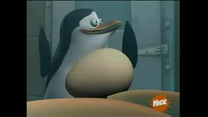 The Penguins Of Madagascar - Paternal Egg Stinct