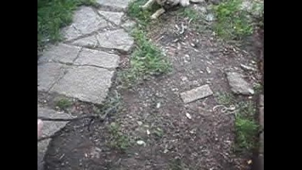 zlo ku4e omi