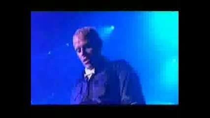 Wake Up Call Live At Lowlands 05
