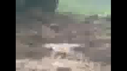 Видео praga