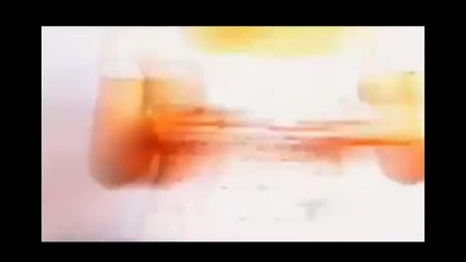 Flor Salvaje Avance Capitulo 80