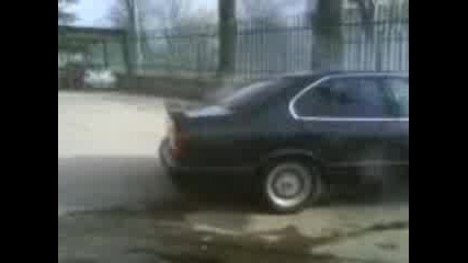 Bavarka pali gymi