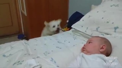 Малко кученце подскача покрай бебето