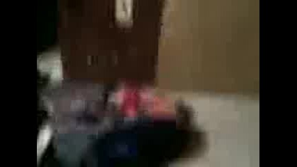 Видео - 0002.3gp