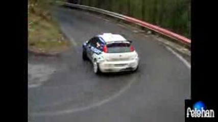 rally 1000 miglia 2009 - giandomenico basso