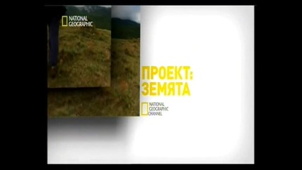 Naked Science - Birth in America 3