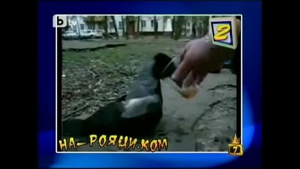На - рояци.ком | Господари на ефира 2/03/10 | 