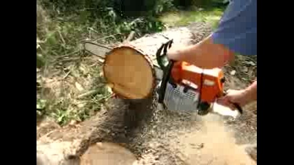 Stihl Ms660, 7 sec thru 16 pine 