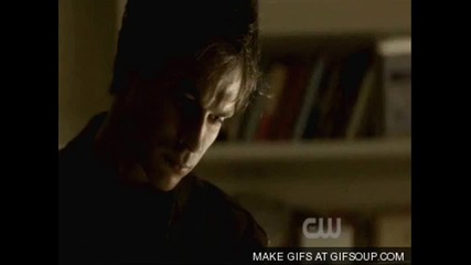 damon and elena