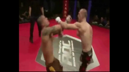 Mma Brutality