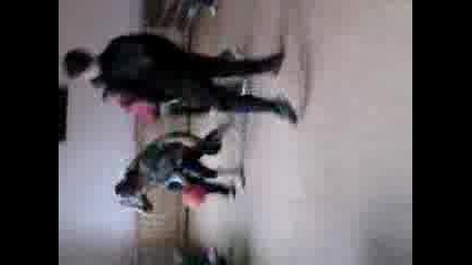 Rosito - I Basket 4