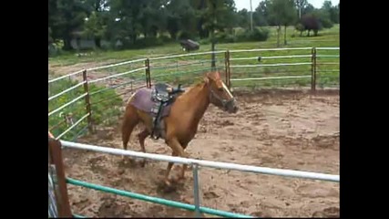 country life