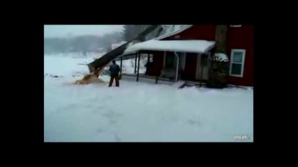 firefox дърво събаря къща 