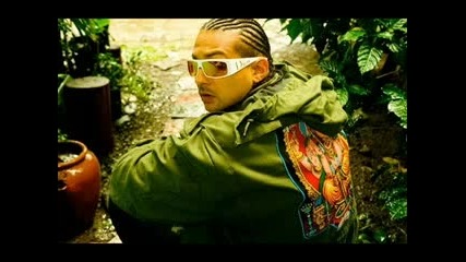 Sean Paul - Running Out Of Time (2008)