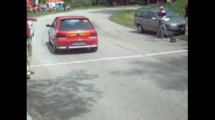 рали вида 2009