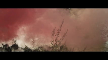 Delilah - Shades of Grey