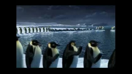 startvg - watch polar party