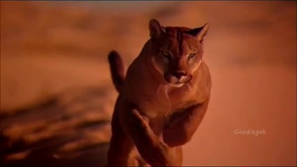 Desert deja vu instrumental