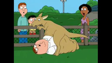 Family Guy - A Kangaroo