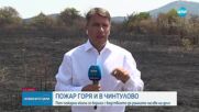 Новините на NOVA (28.07.2025 - обедна емисия)