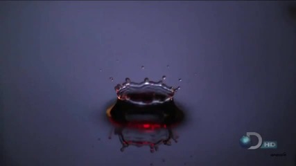 Emotional Music Motion Touch - Full Bloom with Drop of Water2