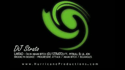 Lmfao - Miami Bitch Dj Strato Remix Pitbull Lil Jon.flv