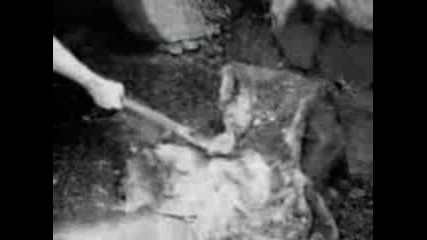 The Prodigy - No Good
