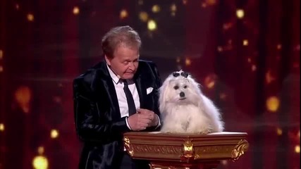Говорещото куче мис Уенди е отново на сцената - Britain's Got Talent 2015