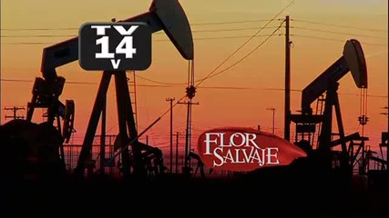 Flor Salvaje Capitulo 40 parte 1