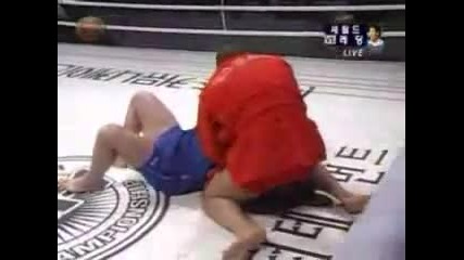Fedor Emelianenko vs Vladimir Voronov 