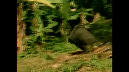 The Prodigy - Voodoo People 