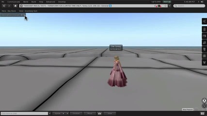 Stop Animating Me - Second Life Viewer 2.5 Tutorial 