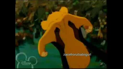 Disney Circle of Stars - Circle of life