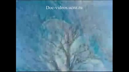 система числа на Фибоначи