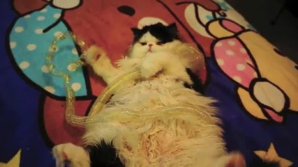 *m Щастливо котенце:)