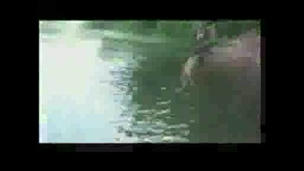Тарзан скача във водата