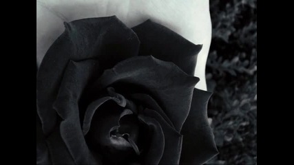 *превод* Anathema ~ One Last Goodbye