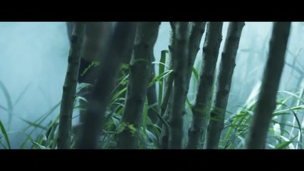 Dappy - Yin Yang
