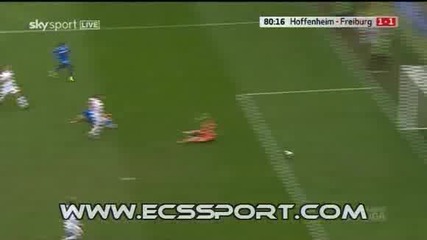 28.03.2010 Hoffenheim – Freiburg 1 - 1 