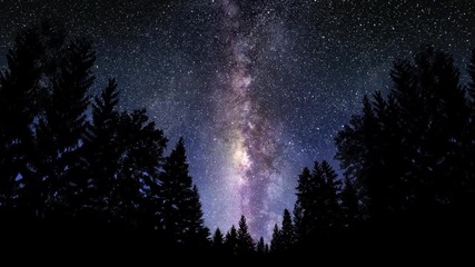 Phaeleh - Nocturne