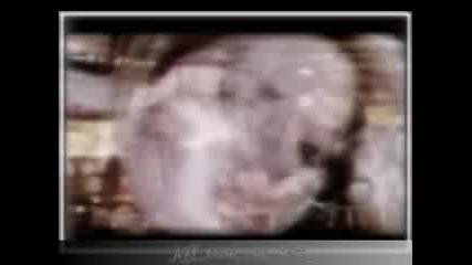 Невероятно Клипче На Триш! (грехота е да не гледаш)