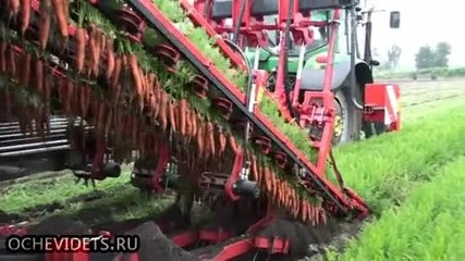 Как се вадят бързо и качествено моркови със специализирана техника