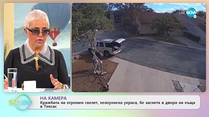 Кражба на огромен скелет, бе заснета в двпра на къща в Тексас - „На кафе” (24.10.2022)