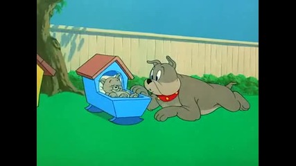 [hq] Tom and Jerry [hq]